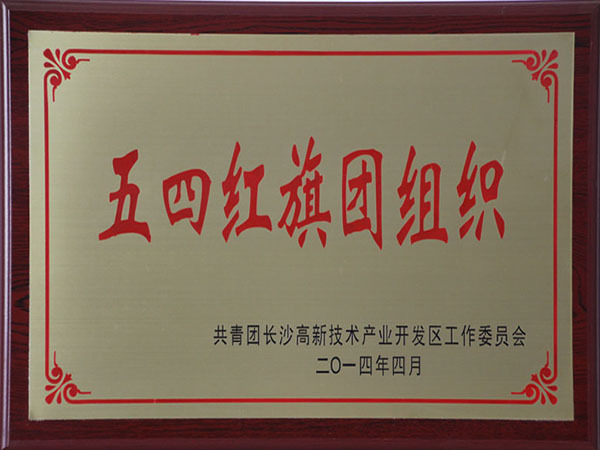 五四紅旗團(tuán)組織